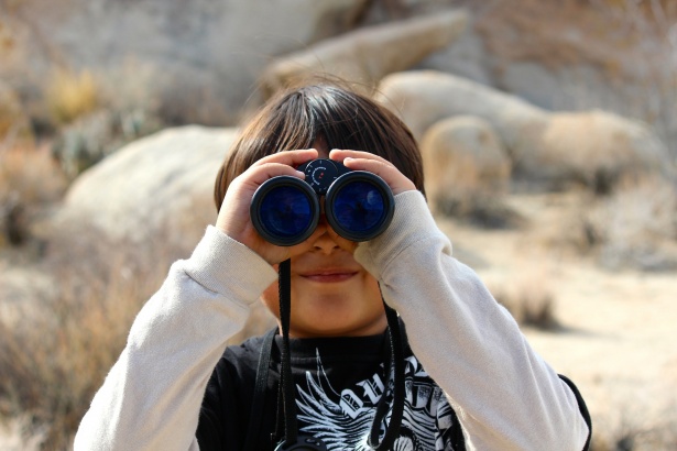 Bringing Research Into the Classroom